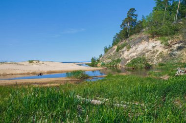 Beyaz dune Saulkrasti, Letonya. 