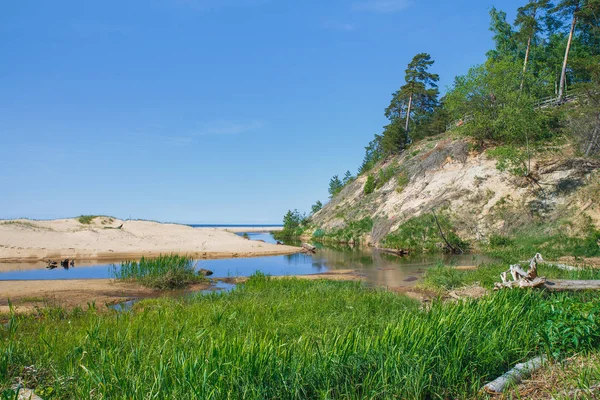Beyaz dune Saulkrasti, Letonya. 