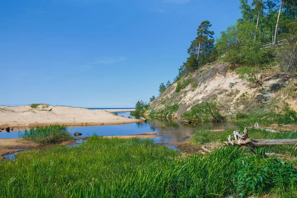 Beyaz dune Saulkrasti, Letonya. 