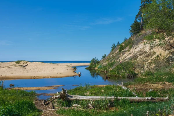 Beyaz dune Saulkrasti, Letonya. 