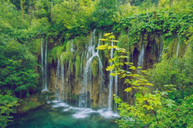 Plitvice göl'de Hırvatistan.