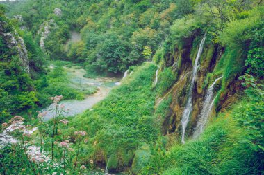 Plitvice göl'de Hırvatistan.