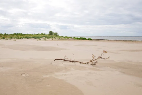 Река Лиелупе в Латвии . — стоковое фото