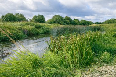 Kandava sabah erken zamanında Abava Nehri.