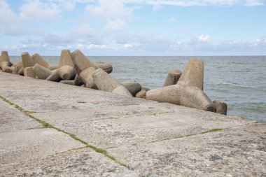 Baltık beach köstebek, Liepaja, Letonya.