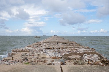 Baltık beach köstebek, Liepaja, Letonya.