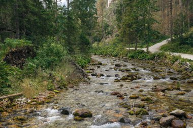 Polonya ve Slovakya büyük Tatry.