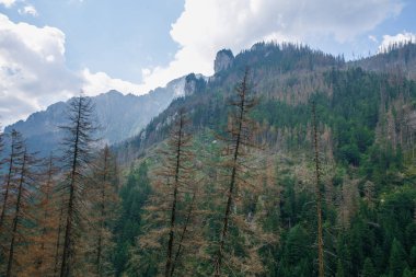 Polonya ve Slovakya büyük Tatry.