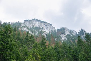 Polonya ve Slovakya büyük Tatry.