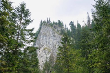 Polonya ve Slovakya büyük Tatry.