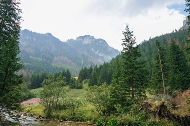 Polonya ve Slovakya büyük Tatry.