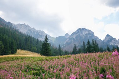 Polonya ve Slovakya büyük Tatry.