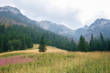 Polonya ve Slovakya büyük Tatry.