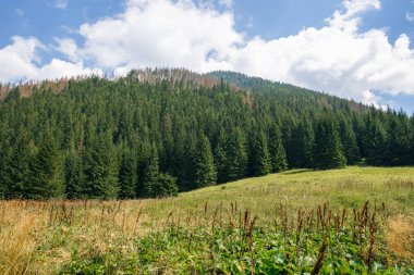 Polonya ve Slovakya büyük Tatry.