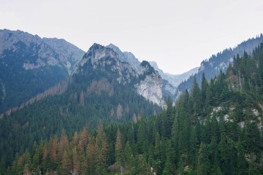 Polonya ve Slovakya büyük Tatry.