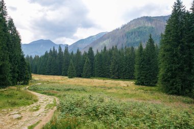 Polonya ve Slovakya büyük Tatry.