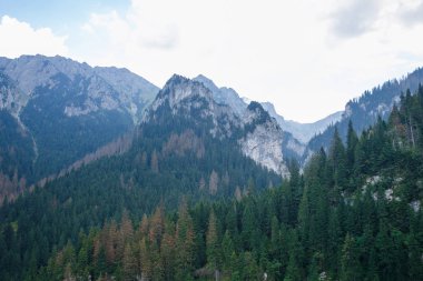 Polonya ve Slovakya büyük Tatry.