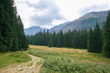 Polonya ve Slovakya büyük Tatry.