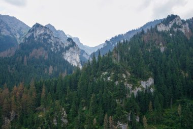 Polonya ve Slovakya büyük Tatry.