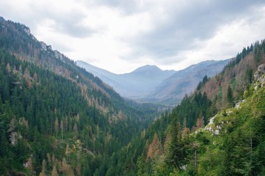 Polonya ve Slovakya büyük Tatry.