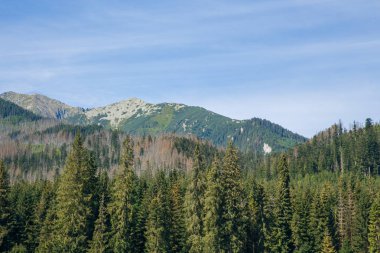 Polonya ve Slovakya büyük Tatry.