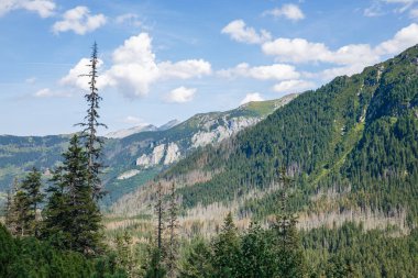 Polonya ve Slovakya büyük Tatry.