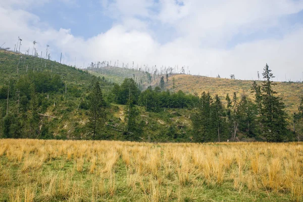 Tatry grande in Polonia e Slovacchia . — Foto Stock