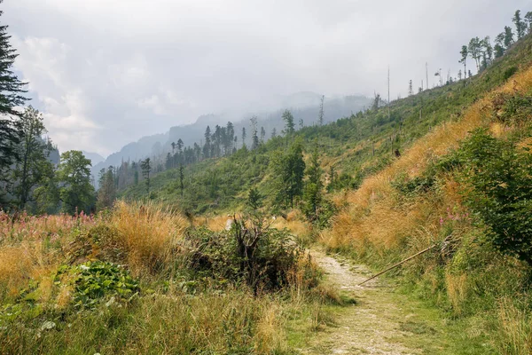 Nagy Tatry, Lengyelország és Szlovákia. — Stock Fotó