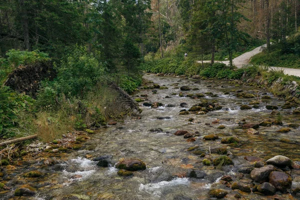 Polonya ve Slovakya büyük Tatry.