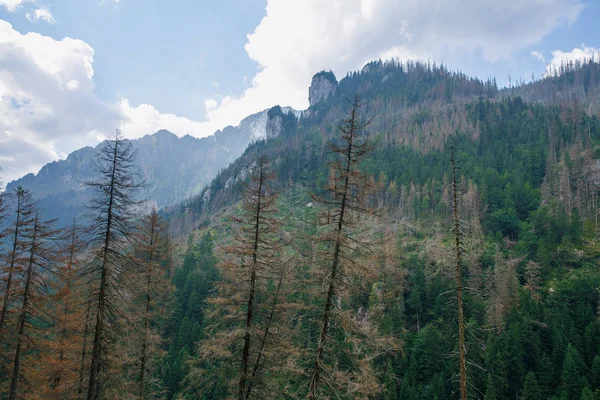 Gran Tatry en Polonia y Eslovaquia . — Foto de Stock