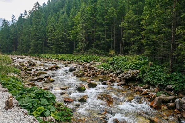 Polonya ve Slovakya büyük Tatry.