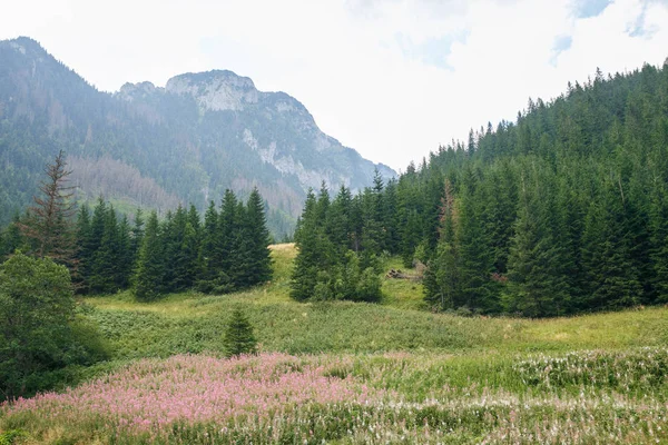 Polonya ve Slovakya büyük Tatry.
