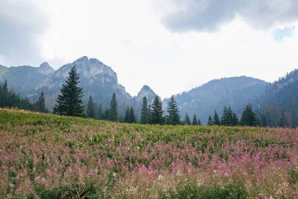 Polonya ve Slovakya büyük Tatry.