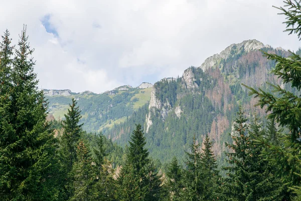 Polonya ve Slovakya büyük Tatry.