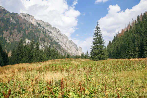 Gran Tatry en Polonia y Eslovaquia . — Foto de Stock