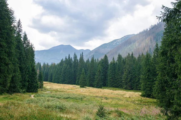 Polonya ve Slovakya büyük Tatry.