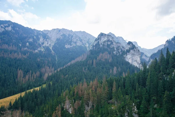 Polonya ve Slovakya büyük Tatry.