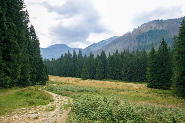 Polonya ve Slovakya büyük Tatry.