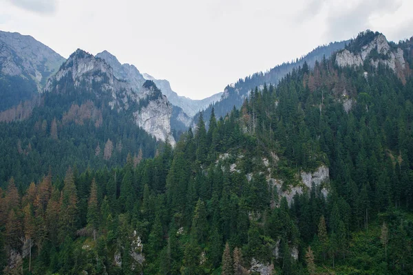 Polonya ve Slovakya büyük Tatry.