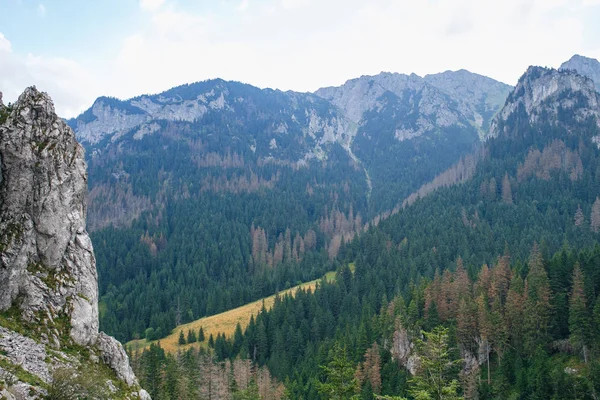 Polonya ve Slovakya büyük Tatry.