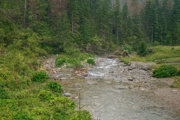 Polonya ve Slovakya büyük Tatry.