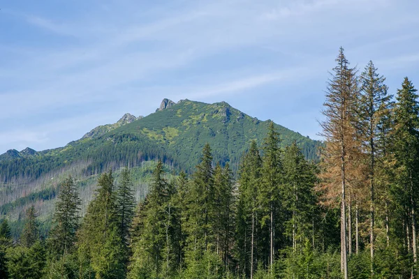 Polonya ve Slovakya büyük Tatry.