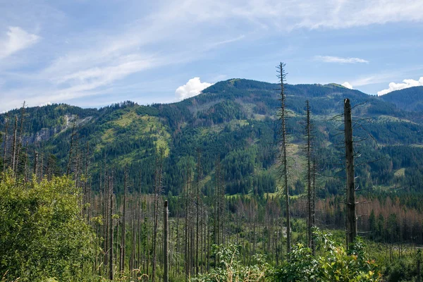 Polonya ve Slovakya büyük Tatry.