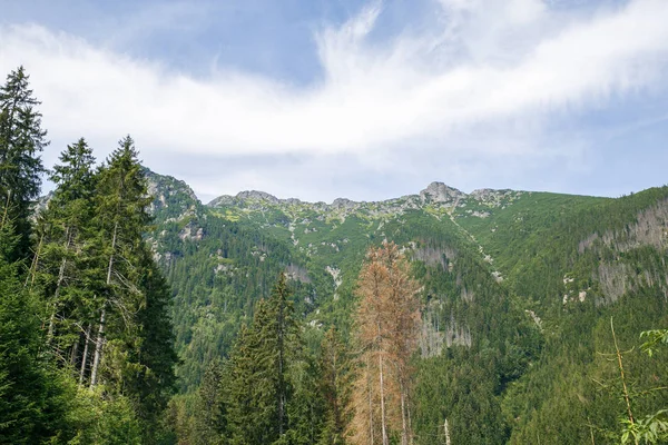 Polonya ve Slovakya büyük Tatry.