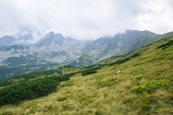 Polonya ve Slovakya büyük Tatry.
