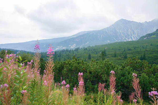 Gran Tatry en Polonia y Eslovaquia . — Foto de Stock