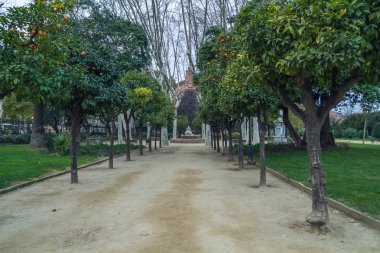 Barselona şehir merkezinde, İspanya.