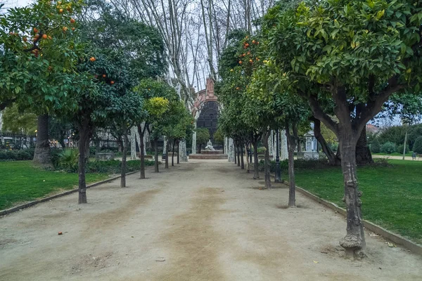 Barselona şehir merkezinde, İspanya.