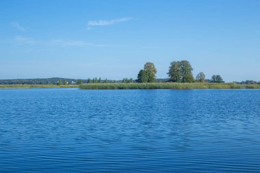 Jugla, Letonya Riga'da Gölü. Sonbahar, su ve ağaçlar. 2017