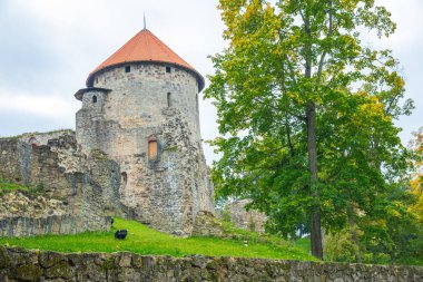 Eski şehir, şehir, kale ve park Cesis, Letonya. 2017